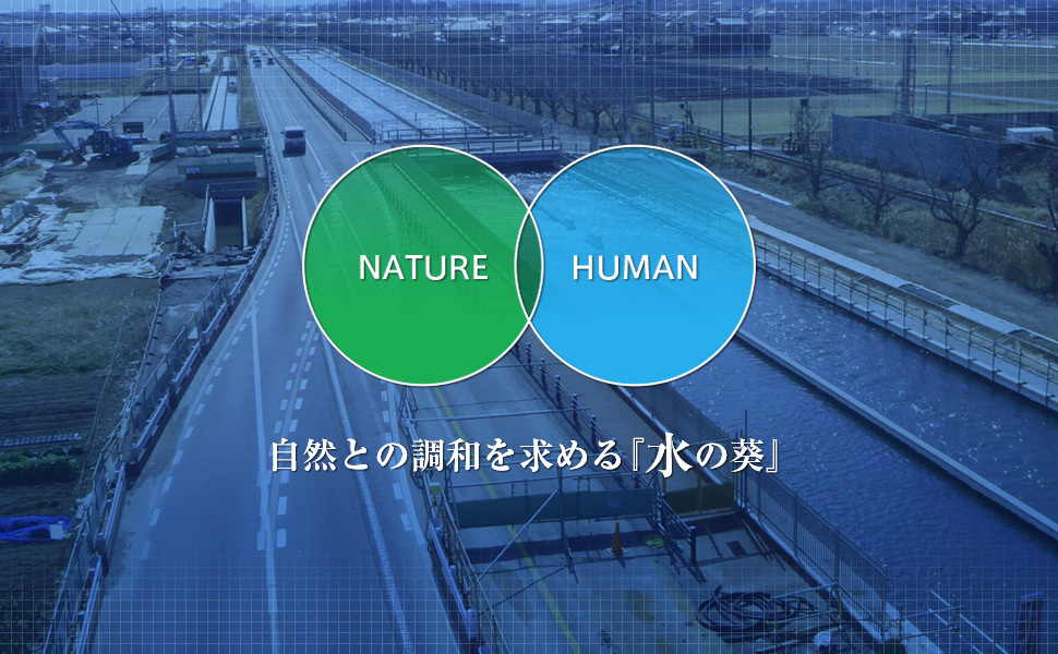 自然との調和を求める水の葵