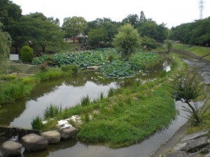 生地川・六軒屋町地内 (3)