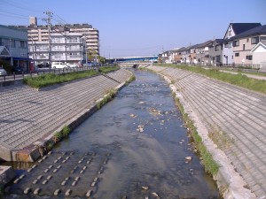 8863_逢妻男川（若林西町）