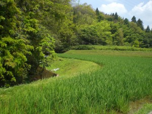 白川・西尾町