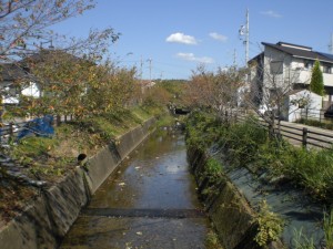 ④八幡川（山口町）