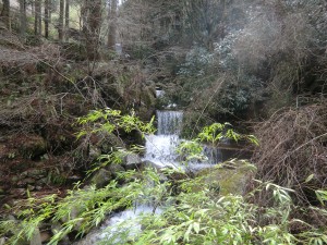 4.(4).5) 大見川の上流