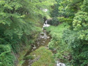 白沢川・守山区松坂町 (2)