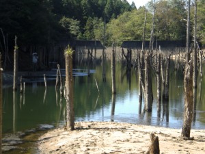 ⑩海上川（海上町）海上池 (2)