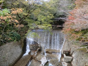 田代川（川下橋より）-1