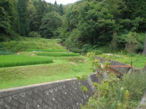 2角ケ洞川・片草町