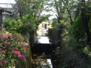 尼ケ洞川寺洞川合流部下流・明智町