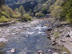 4.(3) 初夏の香嵐渓（巴川）