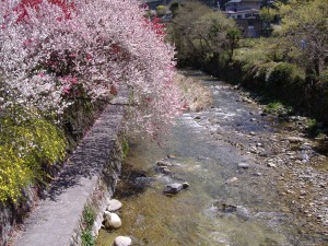 4.(2).1) 春の足助川