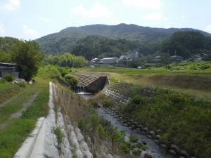 内津川・西尾知内