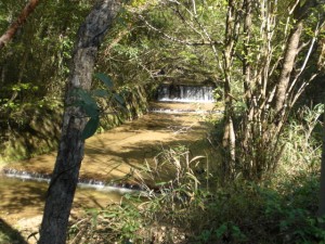 ⑩海上川（海上町）海上川