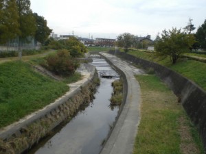 香流川・西原地内CIMG1620