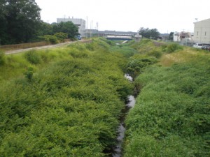 長戸川・志段味 (2)