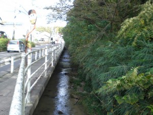 ③拝戸川（東古瀬戸町） (2)