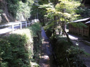 内津神社を流れる北山川・内津町