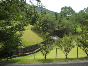 ゴルフ場の中を流れる五ケ村川