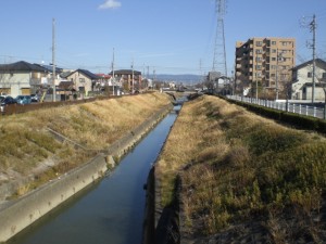 一級河川天神川CIMG1870