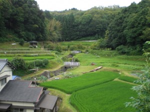 4・片草川・片草町