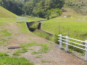 寺洞川・明知町 (2)