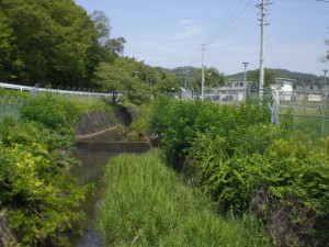 釜柴川・木附町