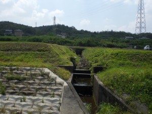 岩ケ洞川・西尾知内