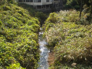 18・一郎兵衛川・北岡町CIMG1692