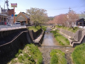 8852_池ノ下川（藤岡町）