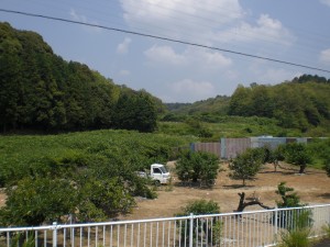 イモジ洞川・西尾町