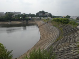 大泉寺川上流端の水源・春日井市大泉寺町