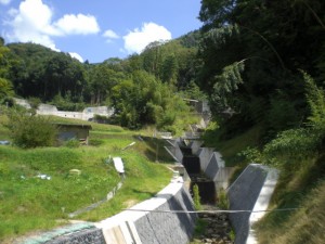 ３・日の出川（片草）