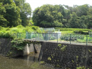 新池川・木附町
