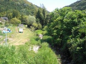 ①オオサンショウが生息する蛇ケ洞川下半田川町