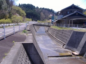 8842_千洗川（沢田）