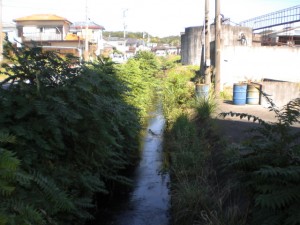 ②若宮川（若宮）