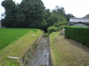 柿ノ木川・細野町 (2)