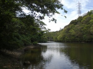 五ケ村川上流端五ケ村池(春日井市西尾町） (1)