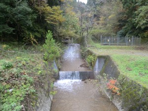 県境を流れる明智川-1