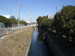 普通河川葉川