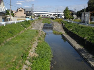 ⑬水無川 (2)（菱野台）