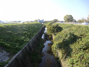 7.(2).4) 加茂川（加茂川橋より）