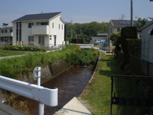 桃の木川・木附町