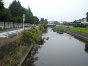 地蔵川・御幸町地内 (2)