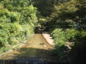 ⑦山路川（東山路町）