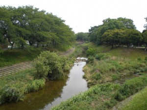 八田川・下原町地内 (3)