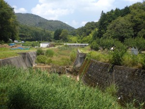 柳川・細野町