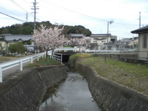 4-22_沢川_小牧市大字本庄