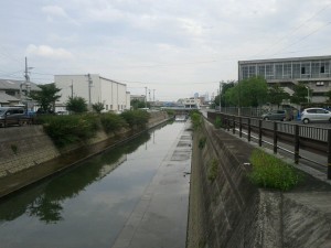 7-4_水場川・清須市阿原