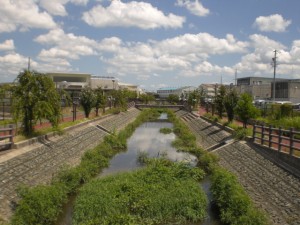 4-39_小針川・小牧市小針