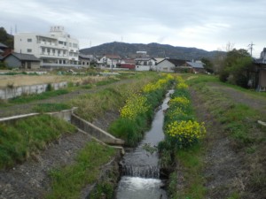 4-18_新造川_池之内地内