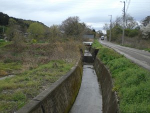 4-19_蓮池川・池之内地内